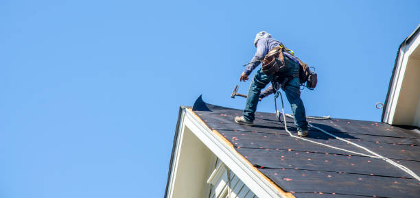 Best Roof Gutter Cleaning  in Greensburg, PA